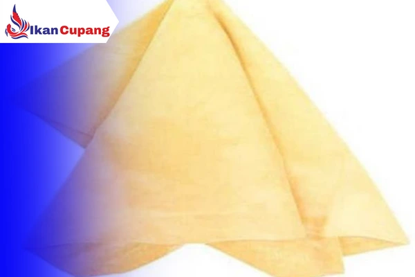 Alat kanebo atau Handuk Kecil