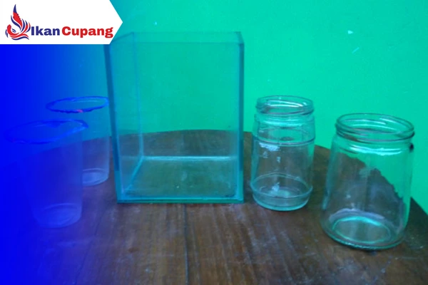 Alat Pendukung Dalam Budidaya Ikan Cupang