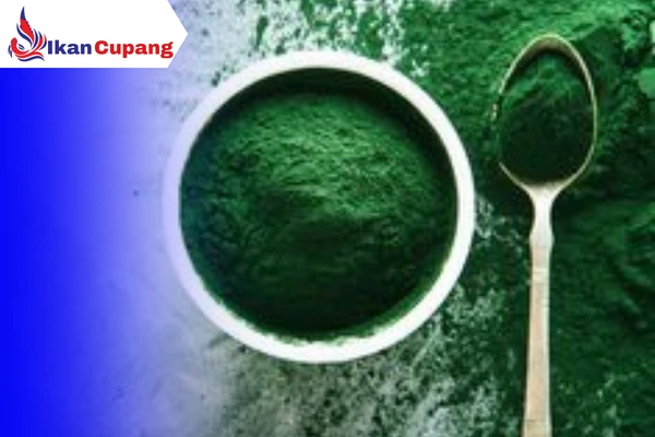 spirulina