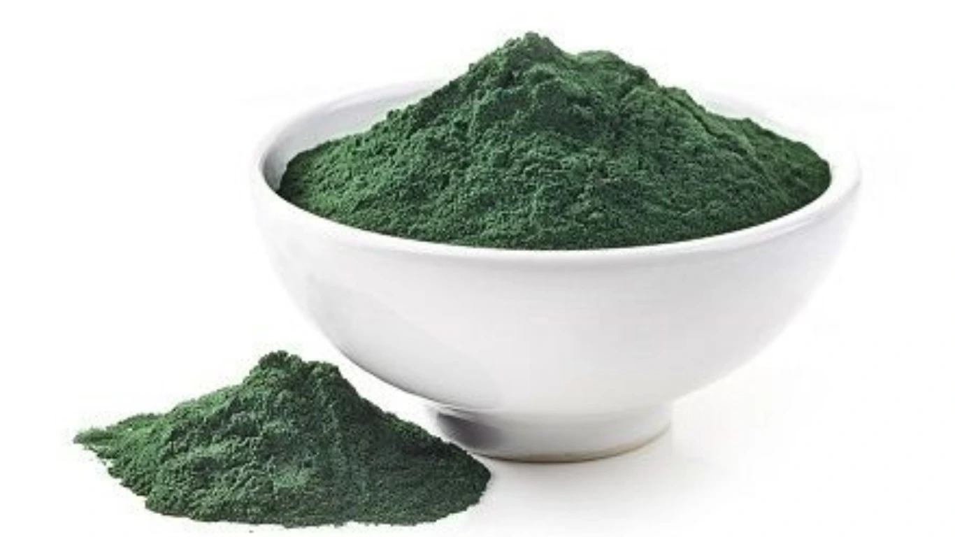 Spirulina pada Ikan Cupang