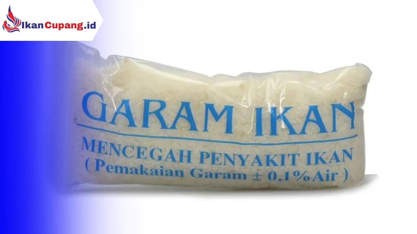 cara menggunakan garam ikan untuk ikan cupang