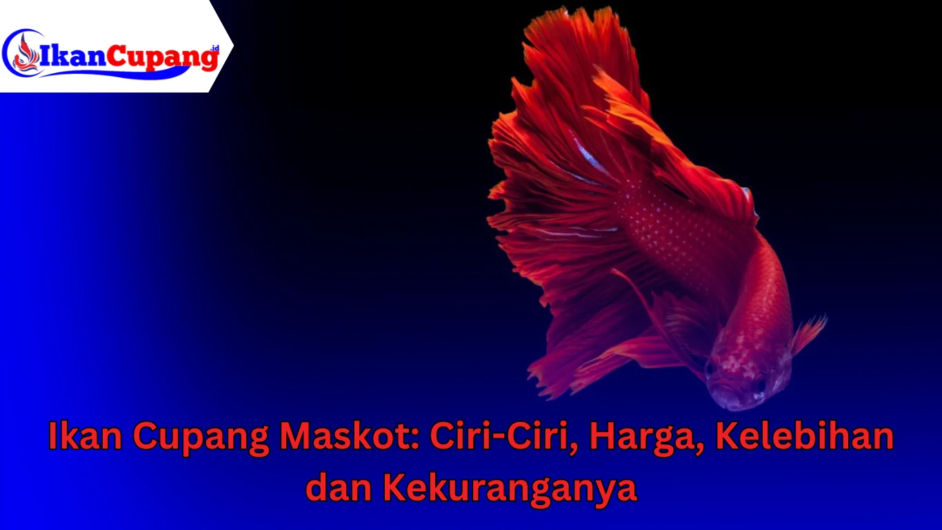 Ikan Cupang Maskot